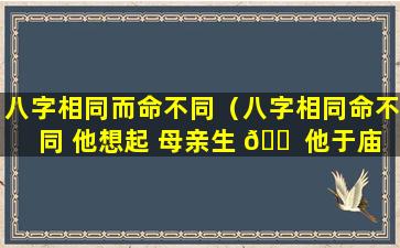 八字相同而命不同（八字相同命不同 他想起 母亲生 🐠 他于庙 文昌）